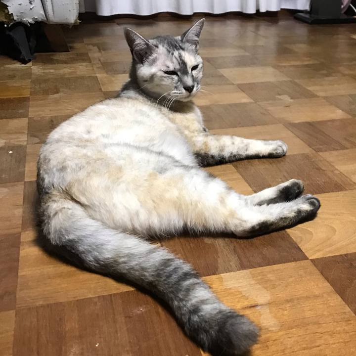 27d67574 7437 4526 a0d5 c330f9022c7a 1597063444099