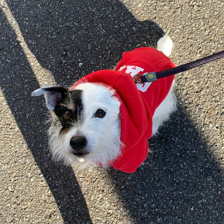 27d68060 eb1e 43a5 99fa 0fa3d0161693 1733962000635