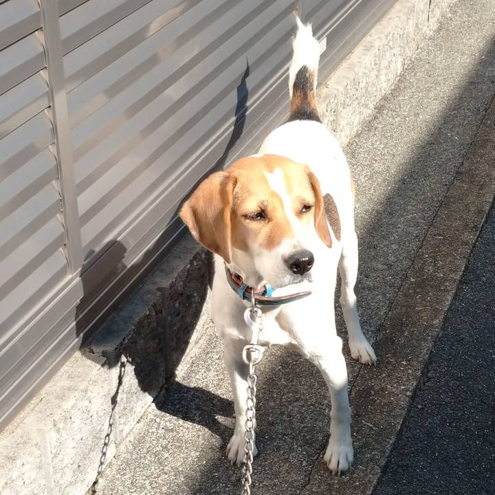 27d68a3f 165b 417b bf5a 0e229d661bf0 1604642549072