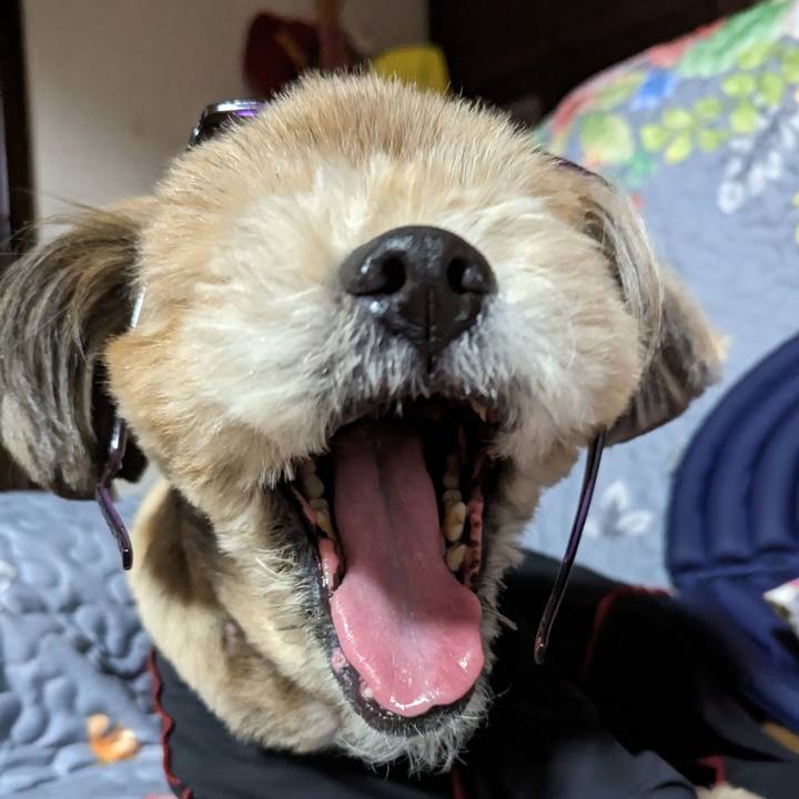 27d6c74f 9482 45db af2f acd1d17c098a 1682085925521