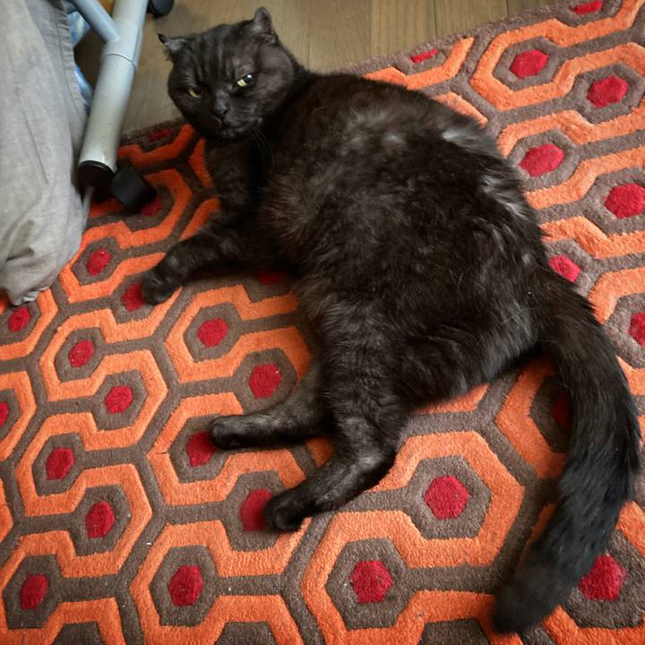 27d6fe2c 1a7a 4509 914d ccb463377d9b 1622453107113