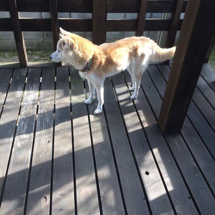 27d71597 df45 4af9 a4a6 27f3d816bb0f 1579245647403