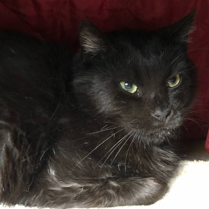 27d71d1d 0609 4a2c 8b4d dac13461dfef 1622453080841