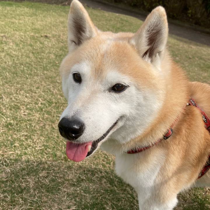 27d73be6 076d 4498 9a1d 4ef6882d43a2 1636294216919