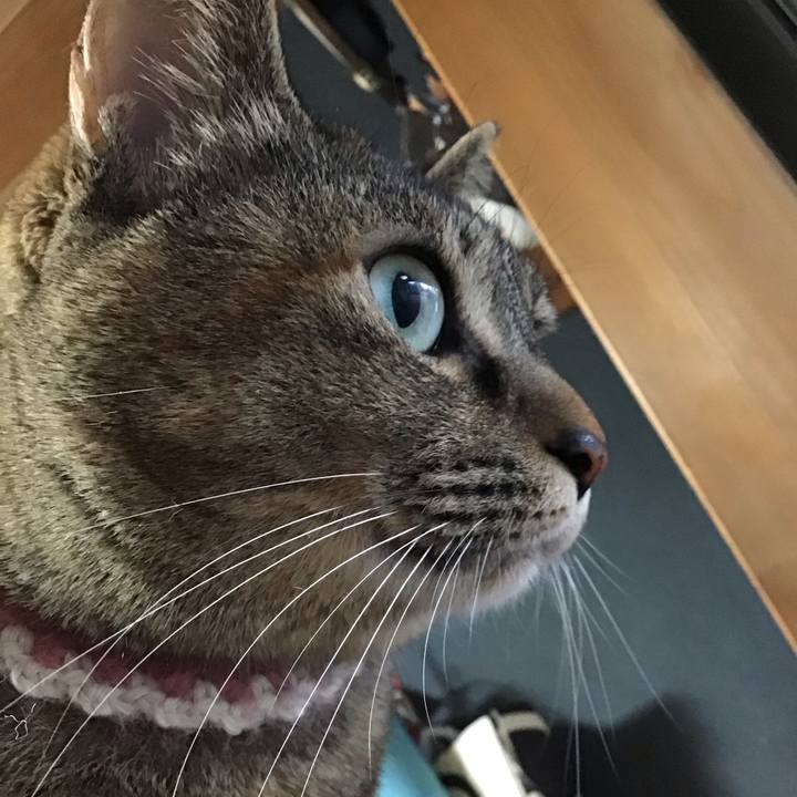 27d77364 b144 4041 bd91 0c334be70bf5 1677313602936