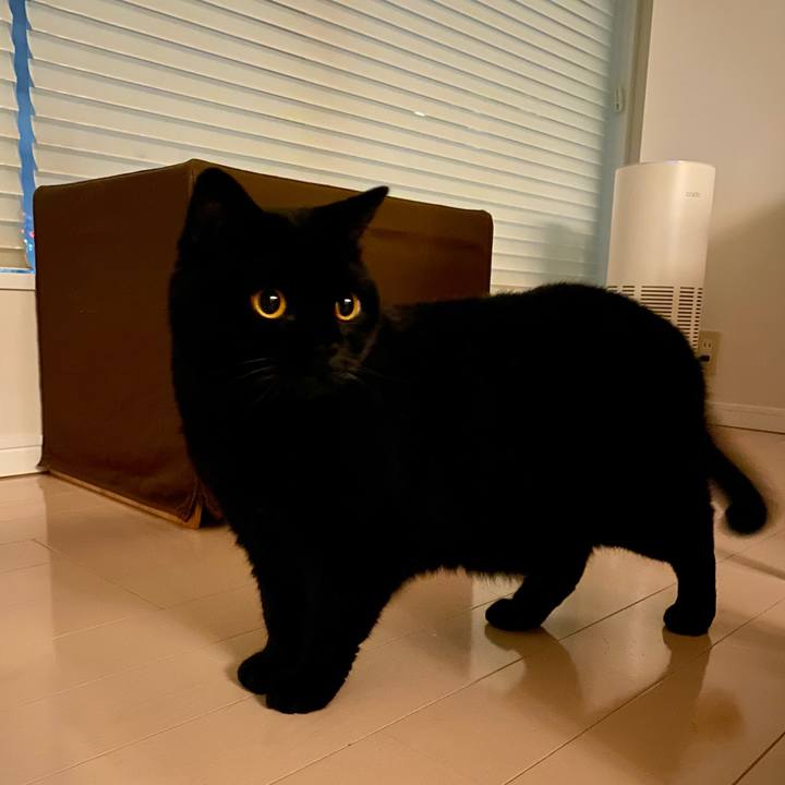 27d7a28f 2315 4c7a 9580 6ba2d1304381 1694524018100