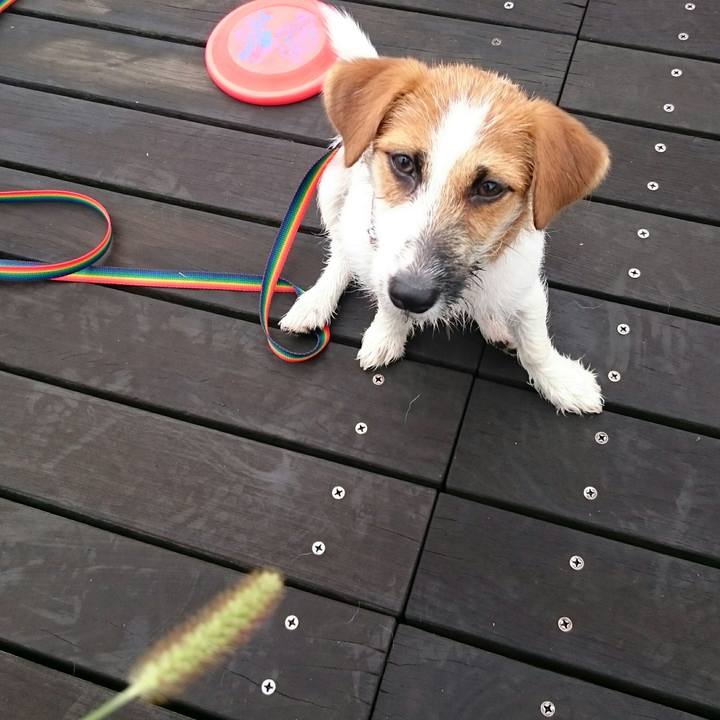 27d7cc45 14ec 43c4 b4d0 9dce5bdbf2e6 1536584129215