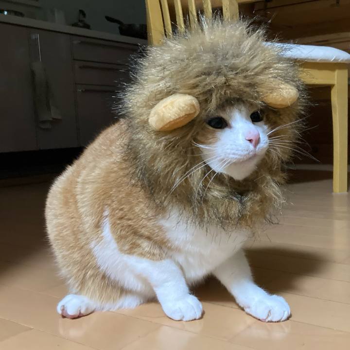 27d7ce04 1cf1 4ee9 ab0f 754031544e3c 1770723843122