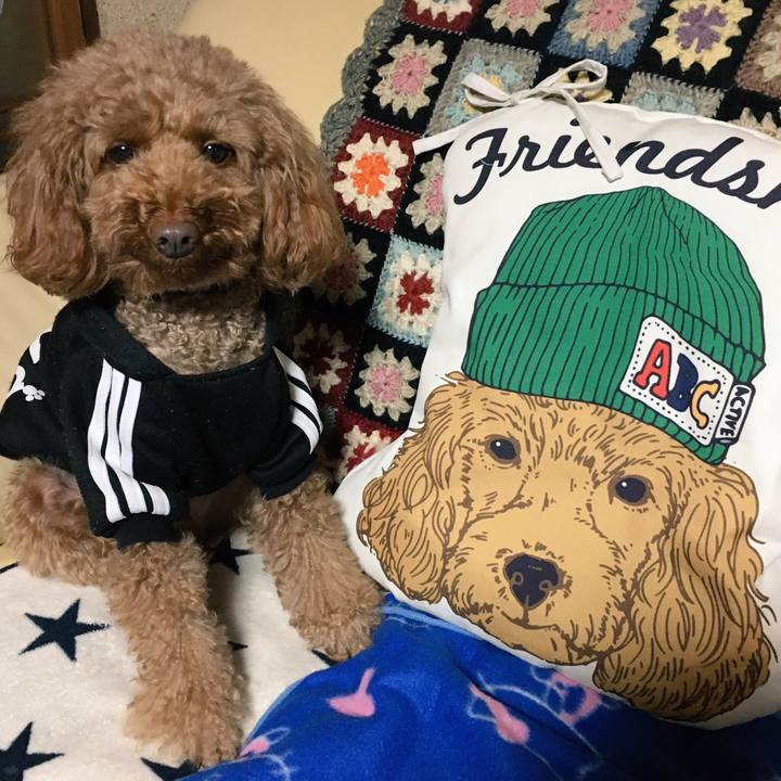 27d7efb5 9475 4073 b006 a3caa9439997 1516156730761