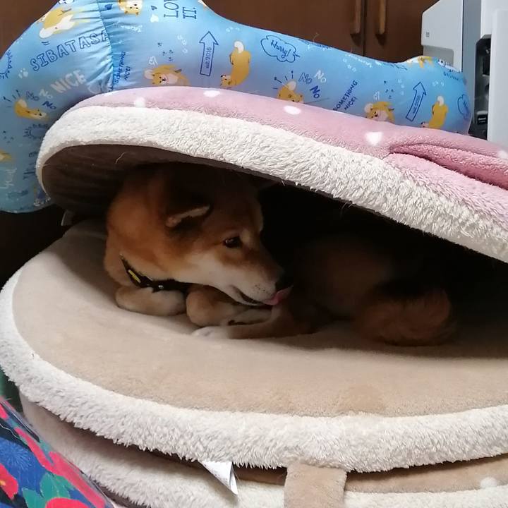 27d869b4 1ce0 4e95 8061 211afaa3ce0c 1610271112221