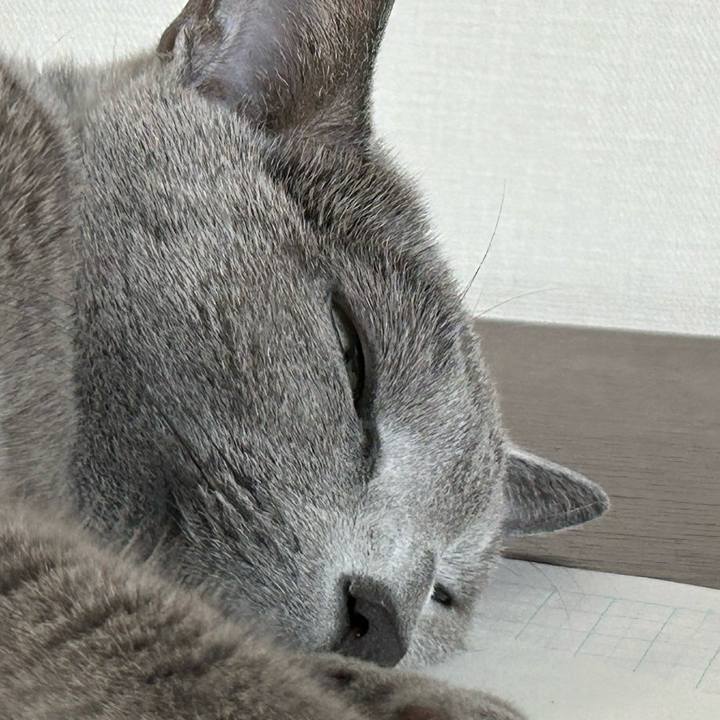 27d88830 4d8f 48c7 a374 96e688e236e7 1737712081061