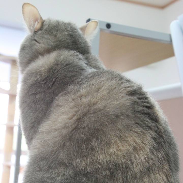 27d8a9f7 a820 4071 8dfc 0976bf57891f 1545984263013