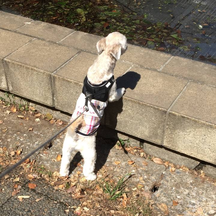 27d8de82 135a 4bbf 85aa 9f7929e245ae 1538895608541