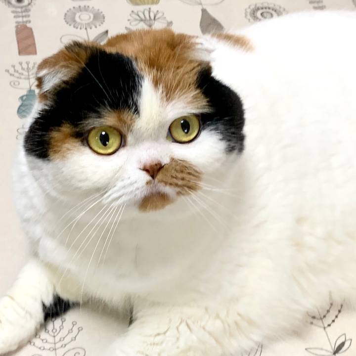 27d8e944 944d 4b93 80f2 c3fba39ebdf3 1580691117703