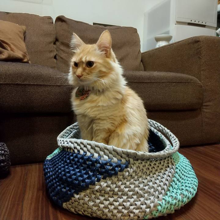 27d90499 9c5e 433a 903a 248affb871c1 1642899646810