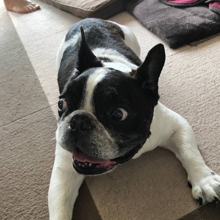 27d9150b c7fe 4909 9437 f7cad1024d12 1560855918169