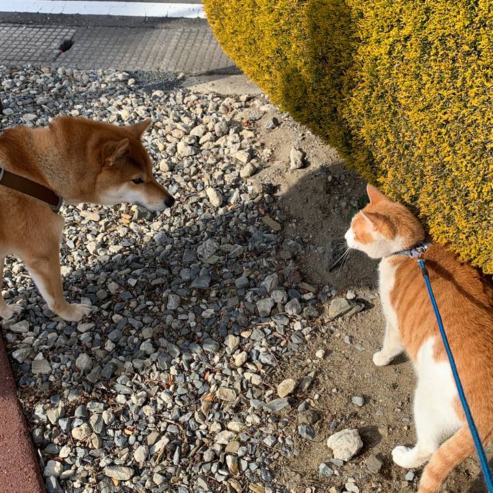 27d94cc3 6b44 4a13 8a37 6a5d578e8333 1578365467950