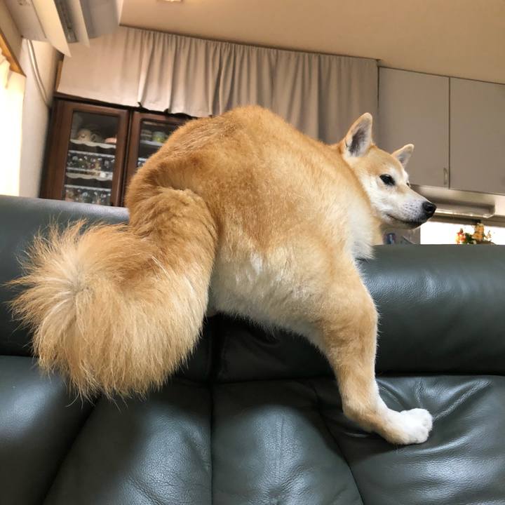 27d96e64 4ec9 4597 9645 ad1dc7280a4d 1597108545410