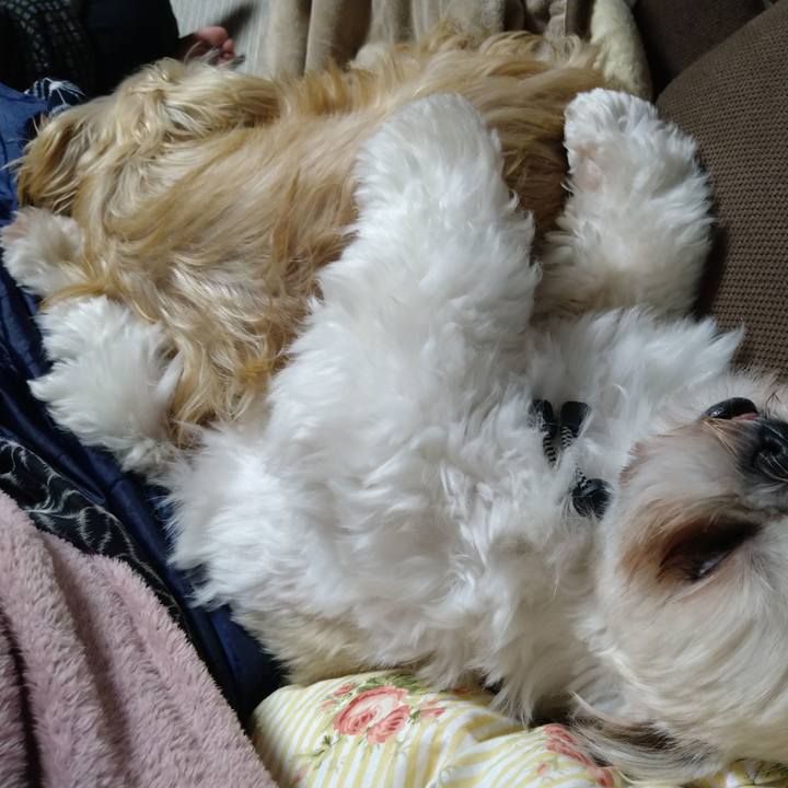 27d98633 275f 452e a083 0cff6d73dd1e 1608384632654