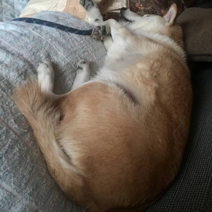 27d9ab7c 2c8f 401b b256 49dea79c05fe 1524949224875