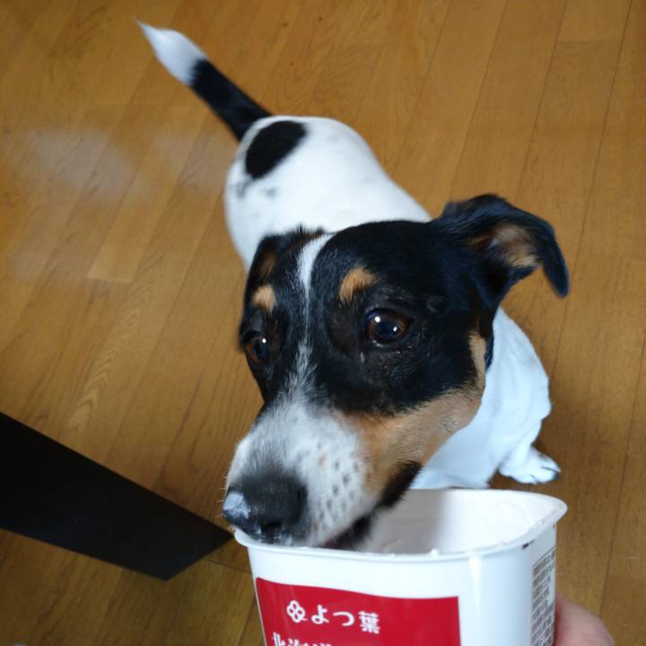 27d9d067 98a4 47aa 9499 bc697ea0d021 1593574515798