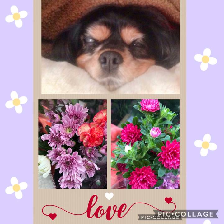 27d9f174 8fa1 4237 a679 b5c4559388c0 1556080649859