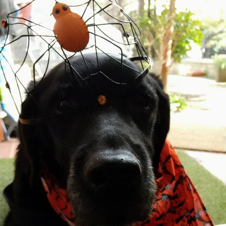 27da2338 648b 4454 9960 be977433b78c 1698562302421