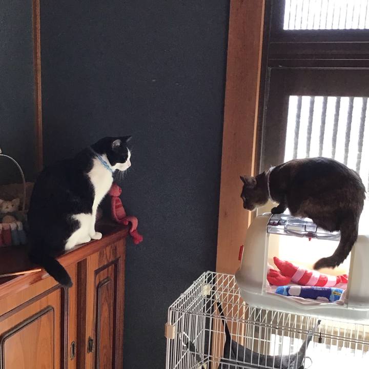 27da69cd f036 40ca 9263 2382b8328354 1740898770106