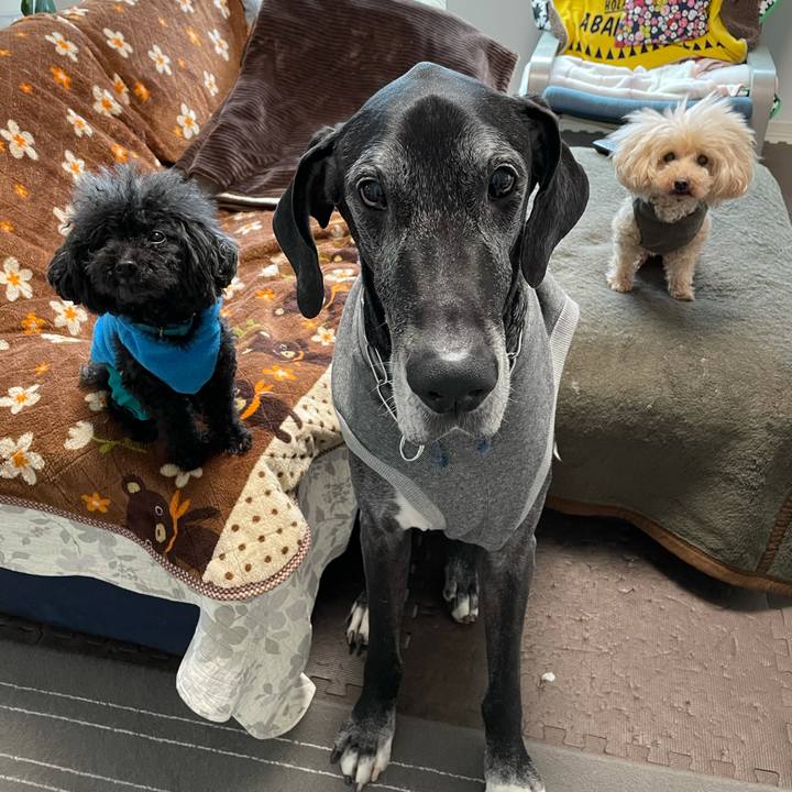 27da7464 fdee 440f 9614 a3415093811c 1614552068479