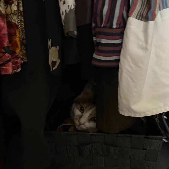 27da8060 27a9 4a79 bbd9 5402c259dc60 1630759462409