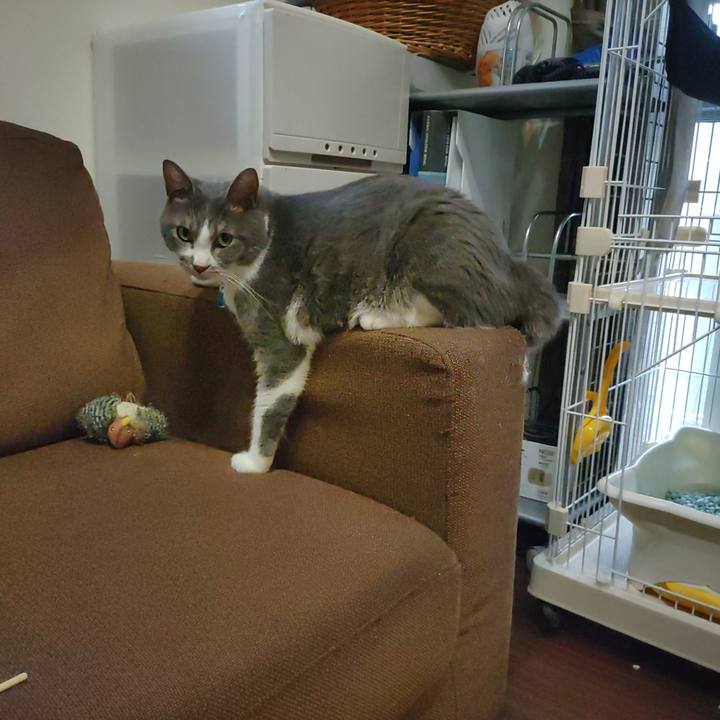 27da84a3 f386 4879 930d 685fec0af799 1656761933192