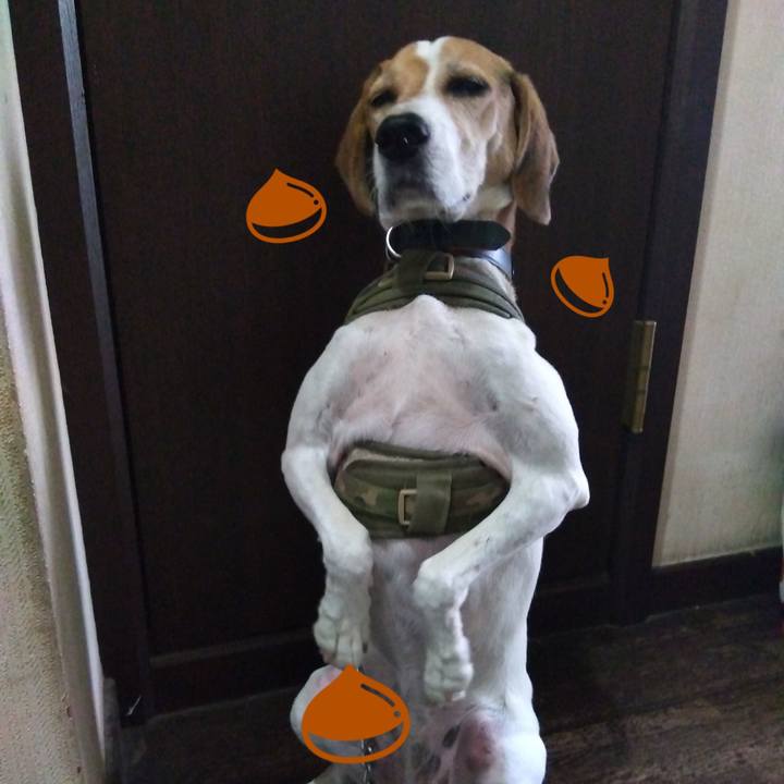 27da84bb 5a7b 4513 b34e 2794e1a66a42 1696319963749