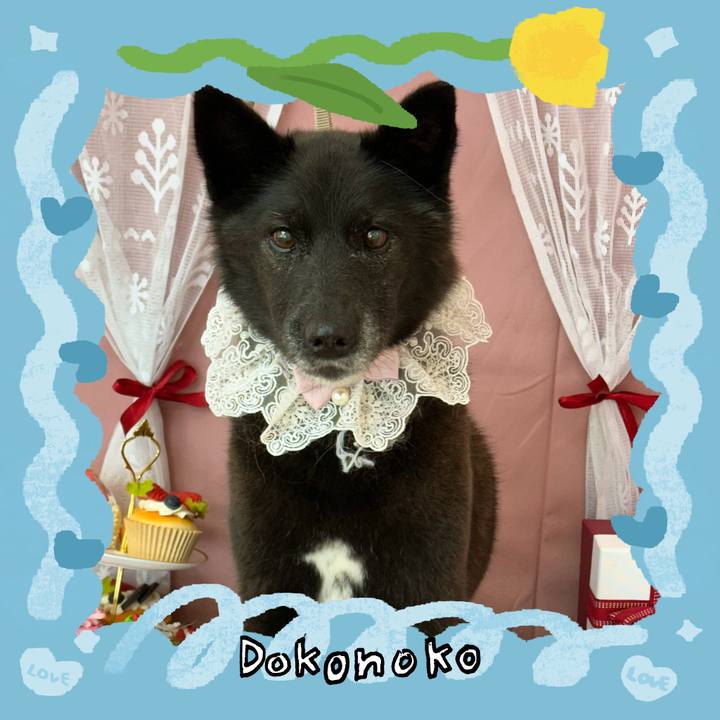 27daa311 14be 4e35 8c55 2bfe2e124773 1772198249835