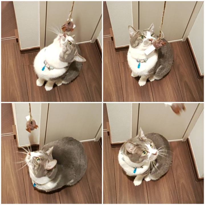 27dacc4a ac30 441a 8d99 283a37cfaf0d 1675203122931