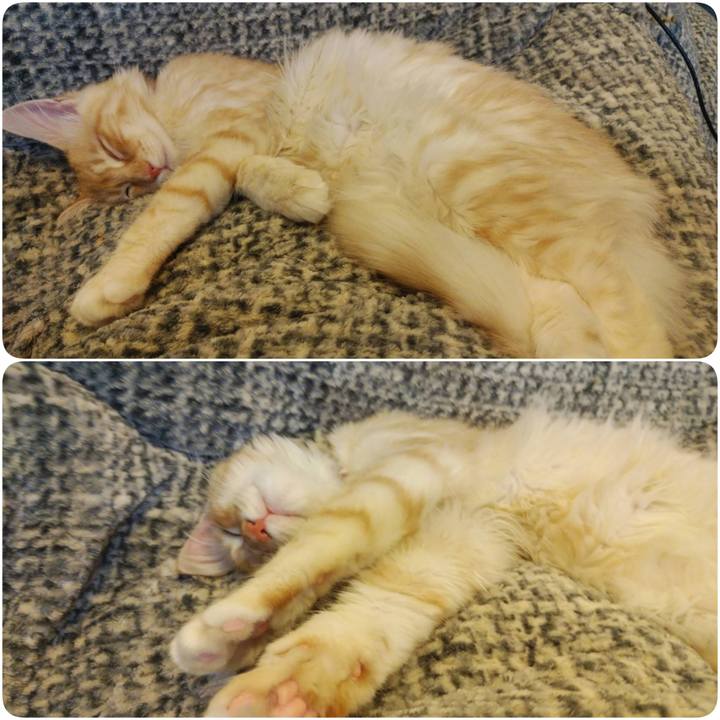 27db8d31 7796 47d2 90b8 db33fa10e79d 1610443798423