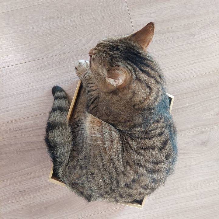 27dba378 a904 42ff a5ba cd2414d02ca8 1764976977377