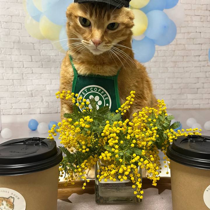 27dbcf51 0d1e 4672 b75c 96aaaf4ab4fa 1678273971503