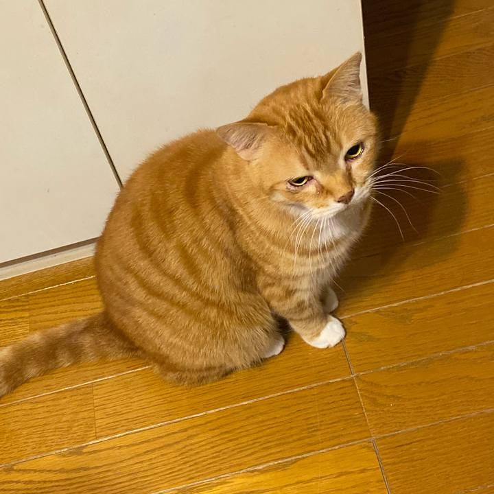 27dbec17 a123 409c 9555 966638c4387f 1618143537326