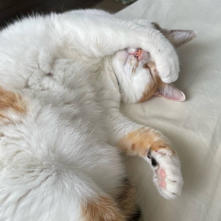 27dc0e22 cd74 4aa5 bc52 baf38b22cdf9 1717288289999