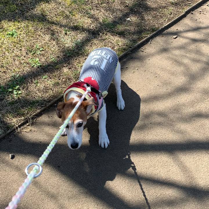 27dc11a6 faa8 4aa8 93ae fd4dc2bb6370 1585194427875