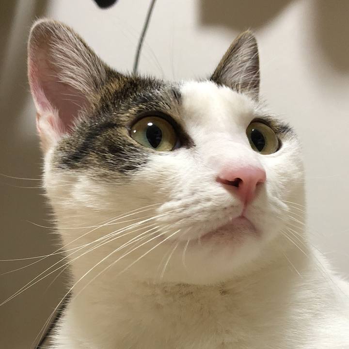 27dc94e2 376b 4c72 afe7 61d32979bb93 1601734828209