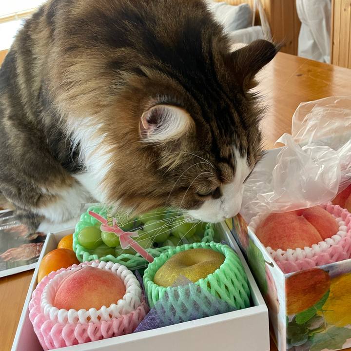 27dc9ead e905 4362 93f6 cb2258124b83 1723356906783