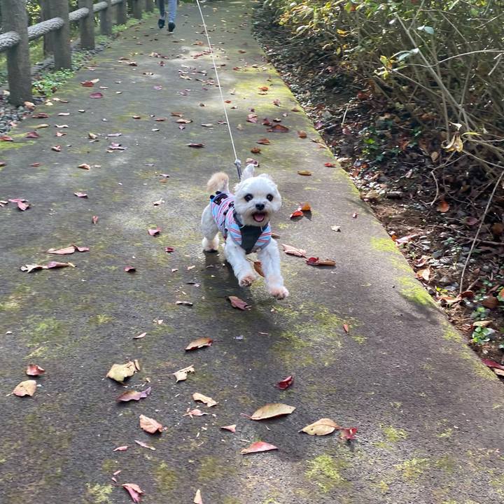 27dca07a 8d2f 4f67 9609 7a9741cff155 1604228690399