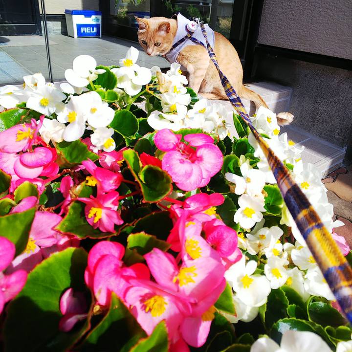 27dcce88 b763 466f 908c 0f75add9b360 1632615912377