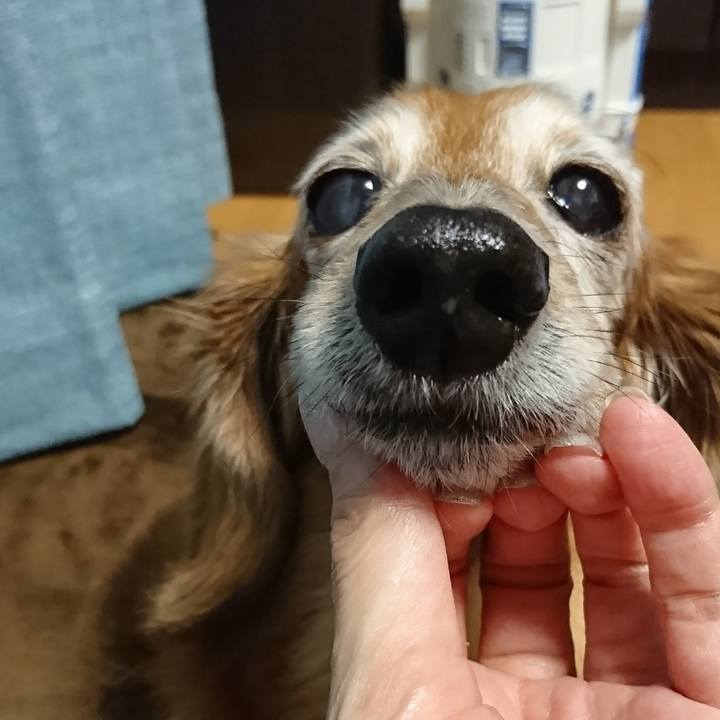 27dce55f a62f 4db9 b6fc 8a5ba02e0bf6 1514682299081