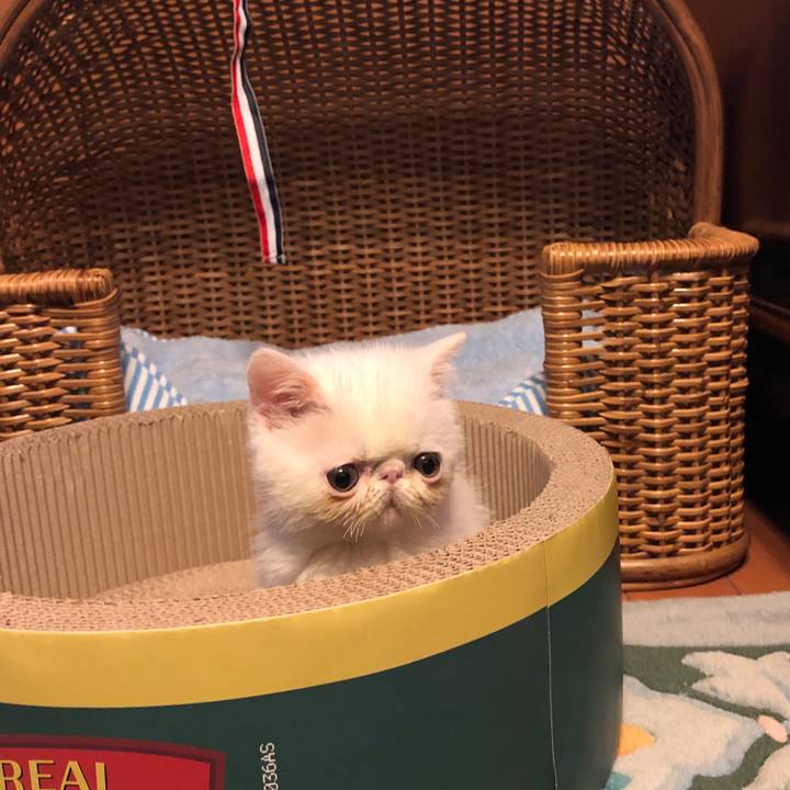 27dced2a 7563 4e2c bb82 5eca9d6644fe 1762859932269