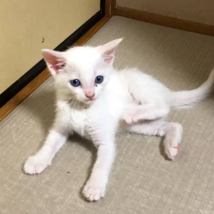 27dd091c 6581 4f83 bbc4 bb56c9062390 1530965700304