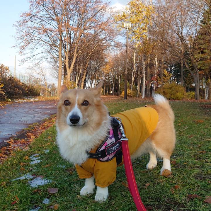 27dd4a5c 82e0 49d7 adcf 87a106b4b078 1762991183161