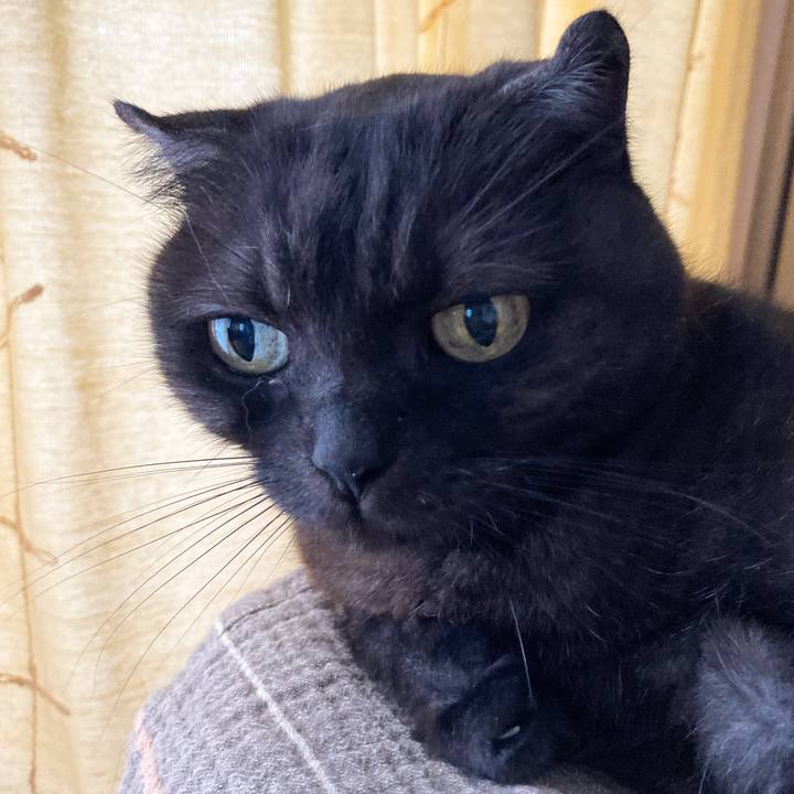 27dd8d62 87b8 484c ab92 61937688747b 1592103405190