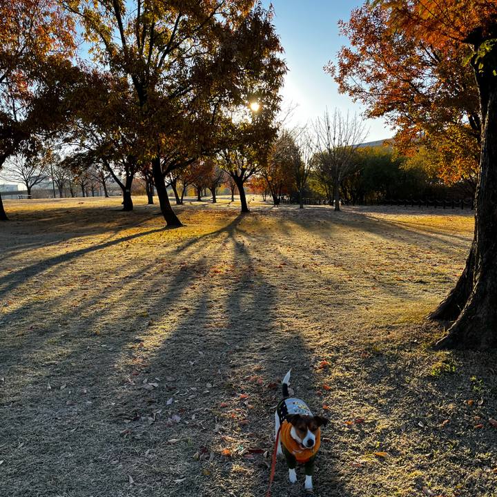 27ddc8a3 3b01 485c bc63 c89acfcdc24f 1734436663726